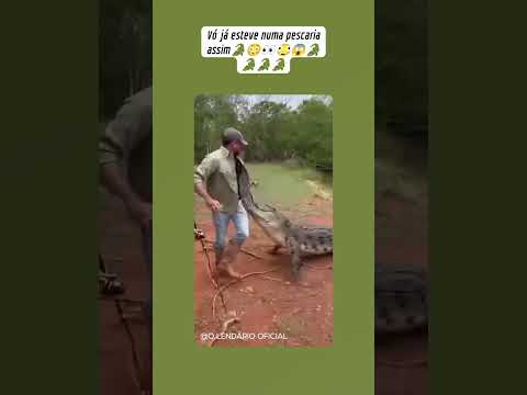 Você já esteve numa pescaria como essa🐊😱😂😃👀😳🐊🐊😱