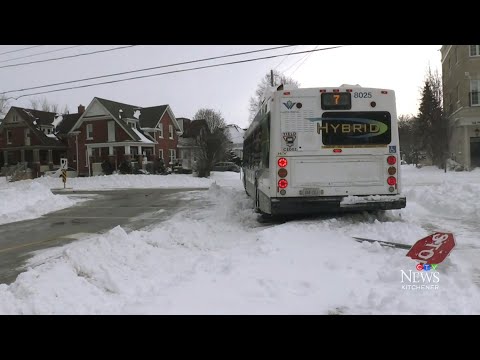 Residents in Kitchener, Ont. react to massive winter storm