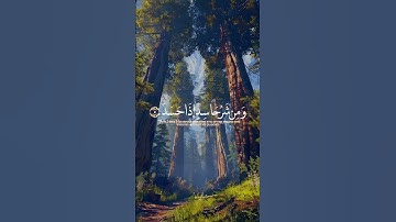 قران كريم. #المصحف #قرآن #قران_كريم #راحة_نفسية #video #اكسبلور