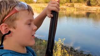 Stevens model 512 20 gauge OU shotgun review
