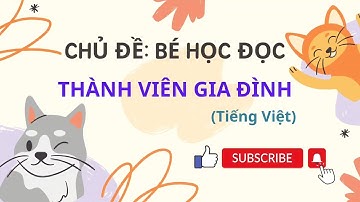 Dạy bé học tên thành viên gia đình - Glenn Doman Flash Cards |Tiếng Việt