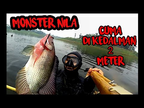 nembak ikan di dalam air// spearfishing sungai saguling