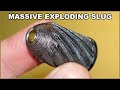  la bomba 12ga exploding shotgun slug  we test them