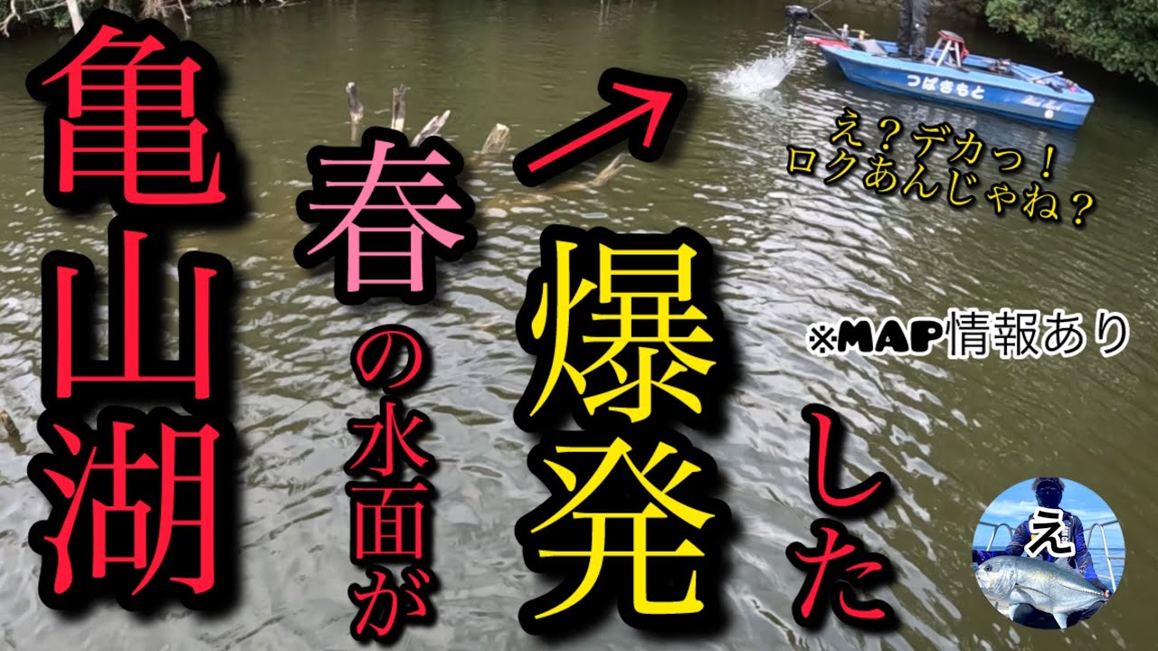 亀山ダムでバス釣りしたらまた水面が爆発した❗️【バス釣り】【春】【亀山湖】【3月】【4月】