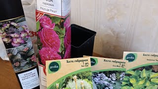 обзор покупок растений для сада