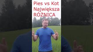 Pies a Kot - Najważniejsza Różnica    #ciekawostki #pies #cat #kot #ciekawe