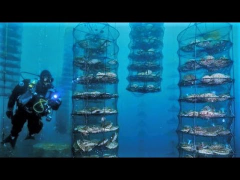 9 UNUSUAL Things Under the Sea 