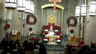 St Gregory the Great 5:00 Mass 12/28/2025