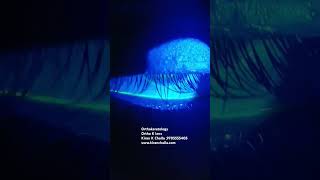 Orthokeratology Ortho K Lens In Hyderabad