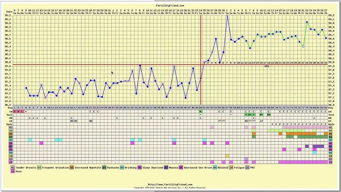 Confused about ovulation/BBT temp spike? I am recovering from HA & know my  BBT is low. But, based on my CM, I think I ovulated on day 11, but no temp  spike