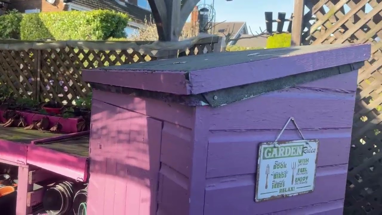 My Garden: February 2026