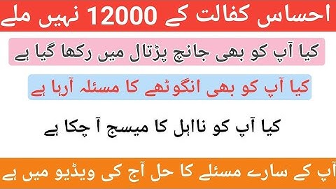 8171 ehsaas program 2021 ||  Ehsas kafalat program Men Indraj karain or 12000 Len || by Abid Bhai