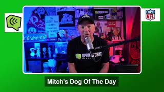 Mitch s Dog of the Day 20 Free NFL Pick NFL Picks Predictions and Betting Tips