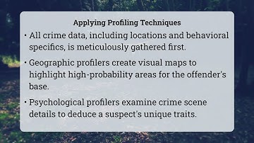 How Do Profilers Use Geographic Versus Psychological Data?