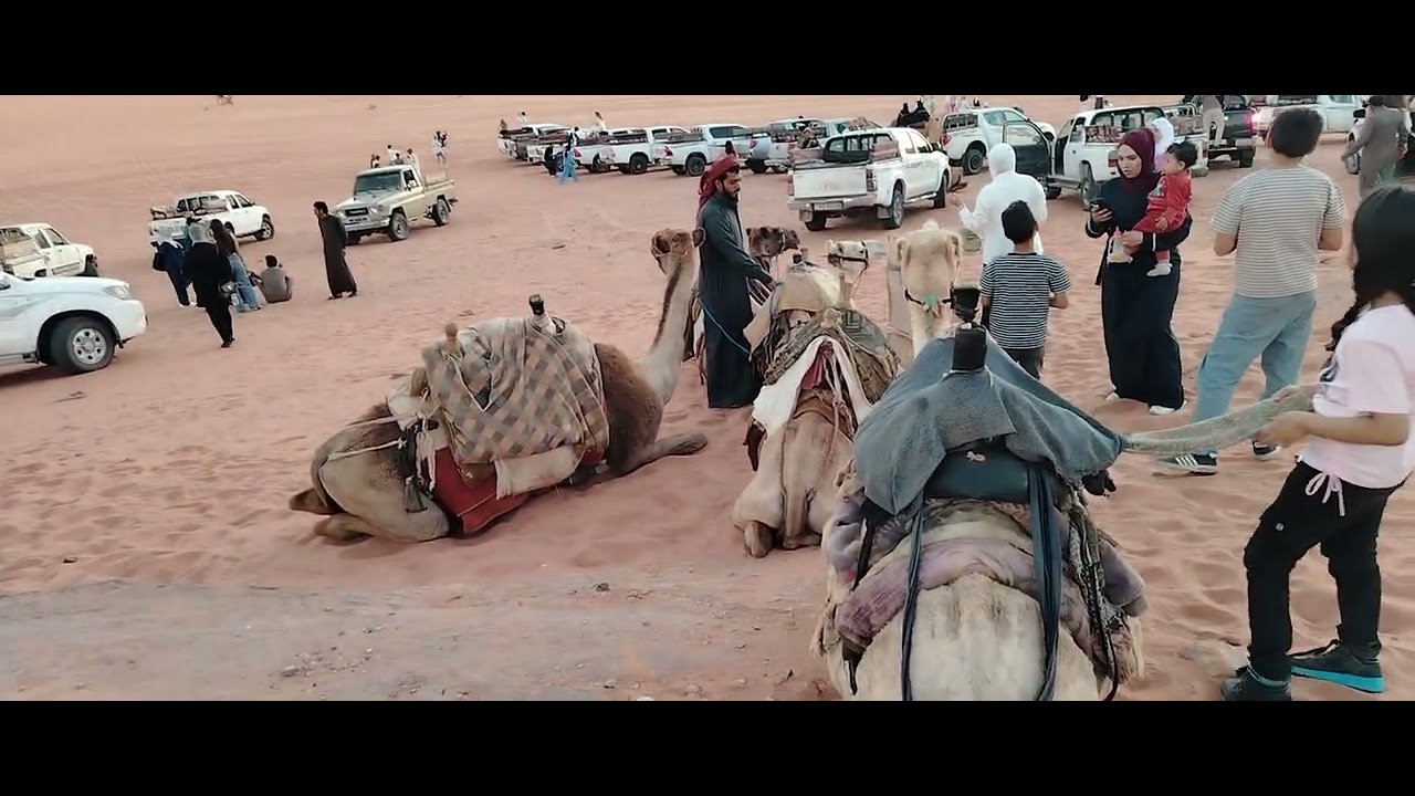 رحلتي لوادي رم، الأردن، ١٤٤٧. ولحظة مشاهدة الغروب