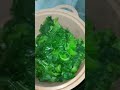 selada kuah santan #cooking #dailycooking #masakancepat #masakansederhana