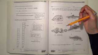 Eureka Math Grade 1 Module 3 Lesson 6 Homework | #mathwithaubrey #answers