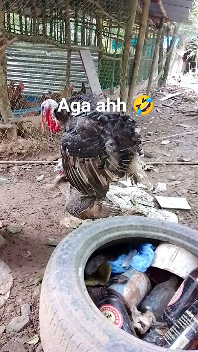 Sayuha gd ana 🤣🤣 #subscribe