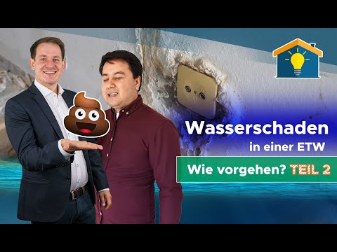 Wasserschaden in einer Eigentumswohnung in Leipzig - Wie vorgehen? TEIL 2