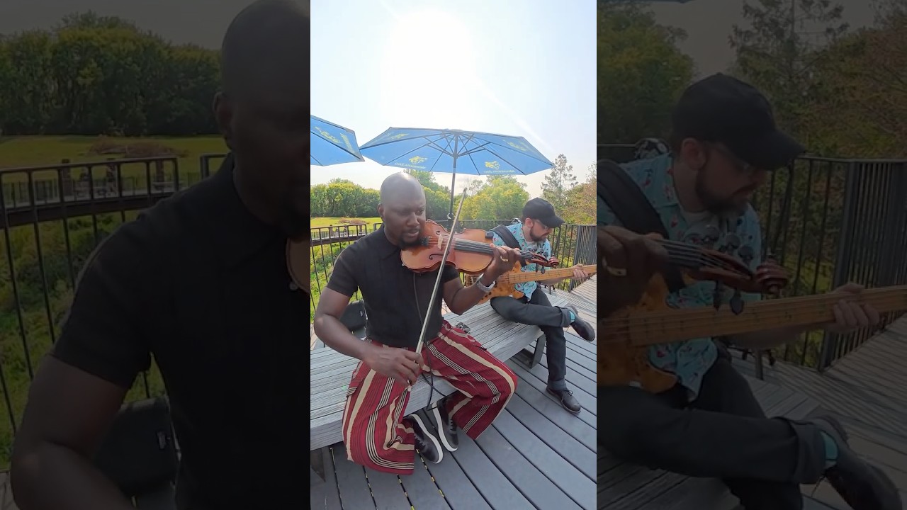 “Blackbird” at the MN Zoo! #violin #guitar #bass #livemusic #beatles “Blackbird” at the MN Zoo! #violin #guitar #bass #livemusic #beatles