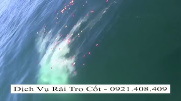 Rải tro cốt,dịch vụ rải tro cốt,cách rải tro cốt,rãi tro cốt,thả tro cốt,rải tro cốt hà nội