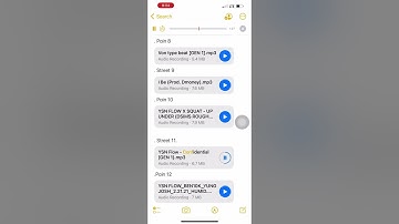 YSN Flow - “Confidential” (Official Audio) [leaked] 😶🗣🔥