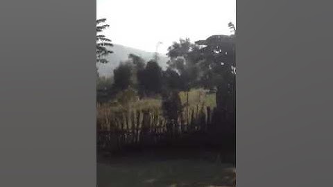 ncis teb chaws sam quang muong leo sop cop sla