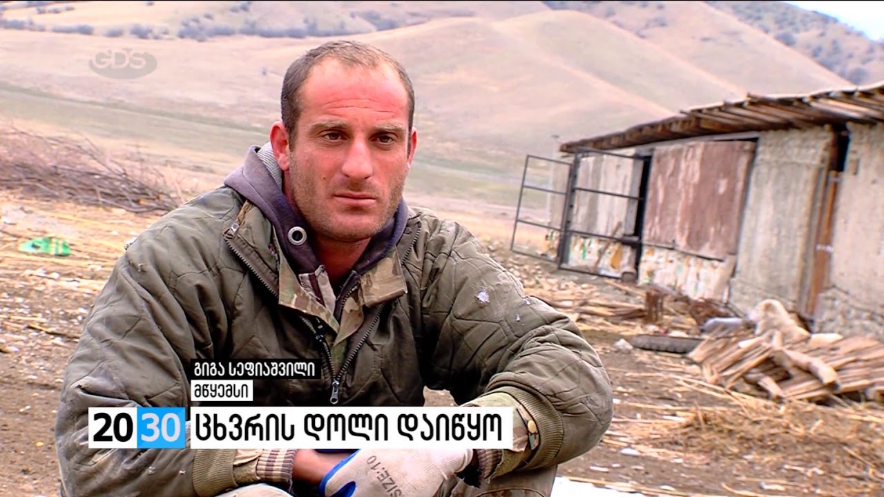 ზვიად თხელიძე - ცხვრის დოლი დაიწყო /2030 (21.01.2016.)/