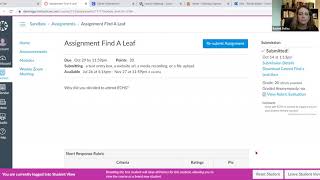 How to . . . See My Teacher's Feedback in Canvas WITHOUT GRADEBOOK