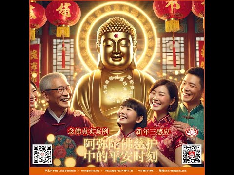 【念佛案例】新年三感应：阿弥陀佛慈护中的平安时刻 | 2025年2月4日 | 净土宗 Pure Land Buddhism