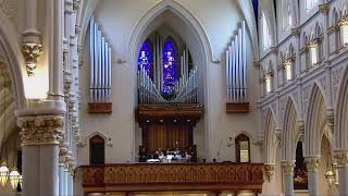 Palm Sunday of the Passion of the Lord