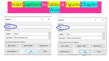 Insert Tables & Figures Numbers Chapter Wise in Document | Tabe 1.1 | Figure 1.1 | Young Researchers