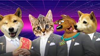 Puppies & Kitten & Scooby Doo - Coffin Dance Song Astronomia Cover