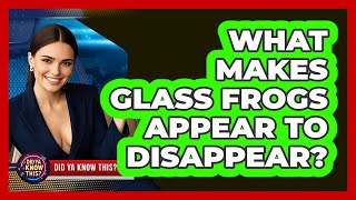 What Makes Glass Frogs Appear To Disappear? - Did Ya Know This