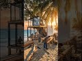 Building a Luxury Beach Treehouse From Scratch | Amazing DIY Timelapse
