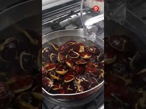 Resep Merebus Jengkol Agar Cepat Empuk Dan Tidak Bau