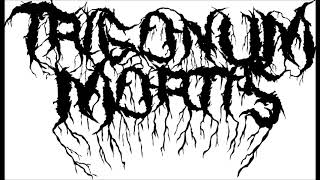 Trigonum Mortis - No One Is Welcome