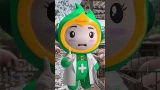 🌧️ HEO HO MÙA MƯA? ĐỪNG CHỦ QUAN 🌧️