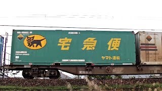 レッドサンダーEF510-16牽引高速貨物4061レ 大阪→東青森 信越本線下り