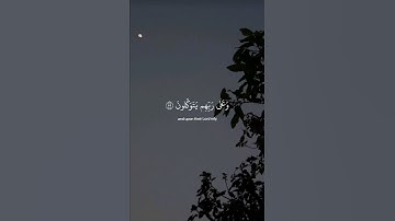 تلاوة ماتيسر من آيات سورة الشعراء بصوت القارئ #عبدالرحمن_مسعد #اكسبلور #تيك_توك #تلاوة_خاشعة #اجر
