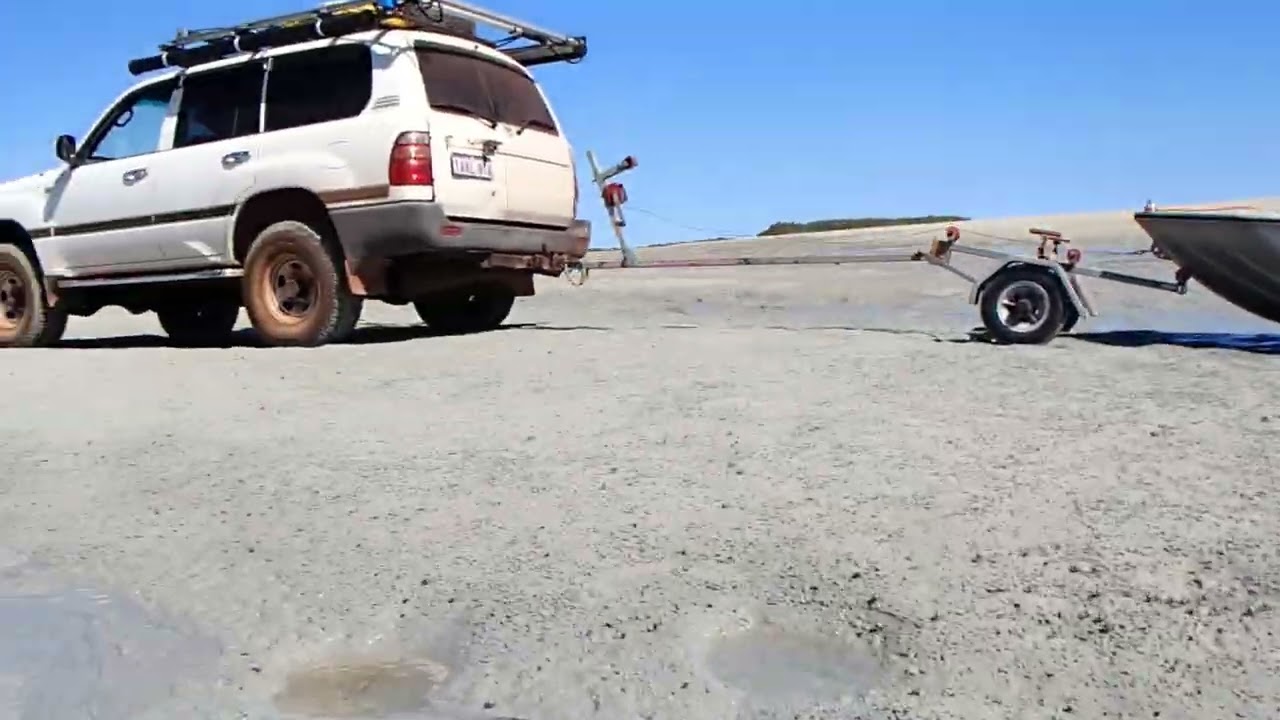 PORT SMITH.SOLDIER CRABS