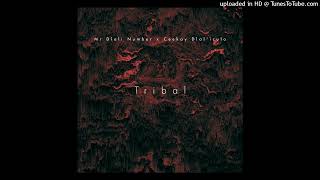 Mr Dlali Number x Ceekay Dlal'iculo - Tribal