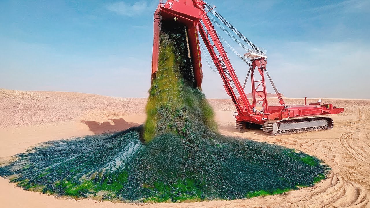 Вот Зачем Африка Закапывает Тонны Водорослей под Песком Пустыни