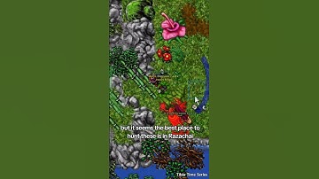 Tibia Time Boosted Series: Lizard Dragon Priest 🦎🐉🔥 #tibia #gaming #shorts