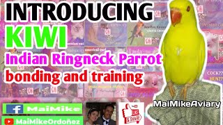 MAIMIKEORDOÑEZ VLOG 020 || INTRODUCING KIWI || INDIAN RINGNECK PARROT || TRAINING AND BONDING screenshot 3