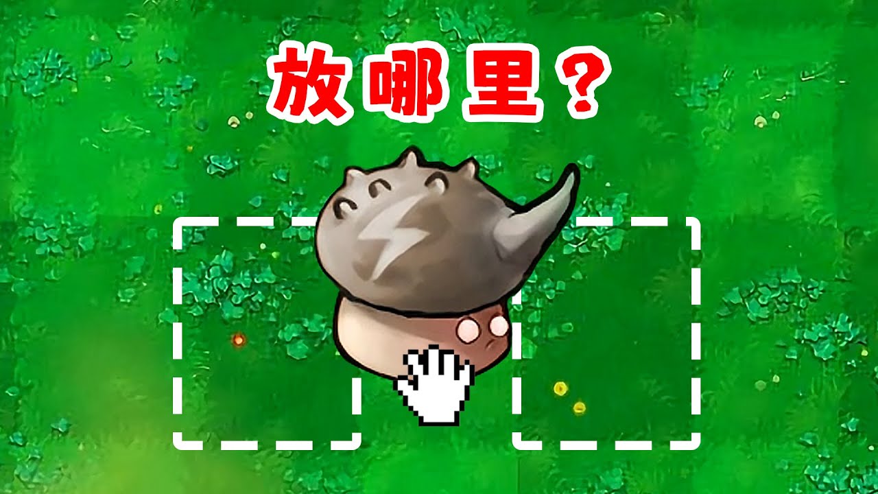 攻守兼備的雷果子，該放前面還是後面？