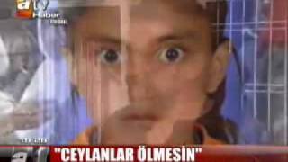 Ceylan Önkol 2