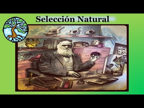 Video: ¿La selección natural causa una deriva genética?