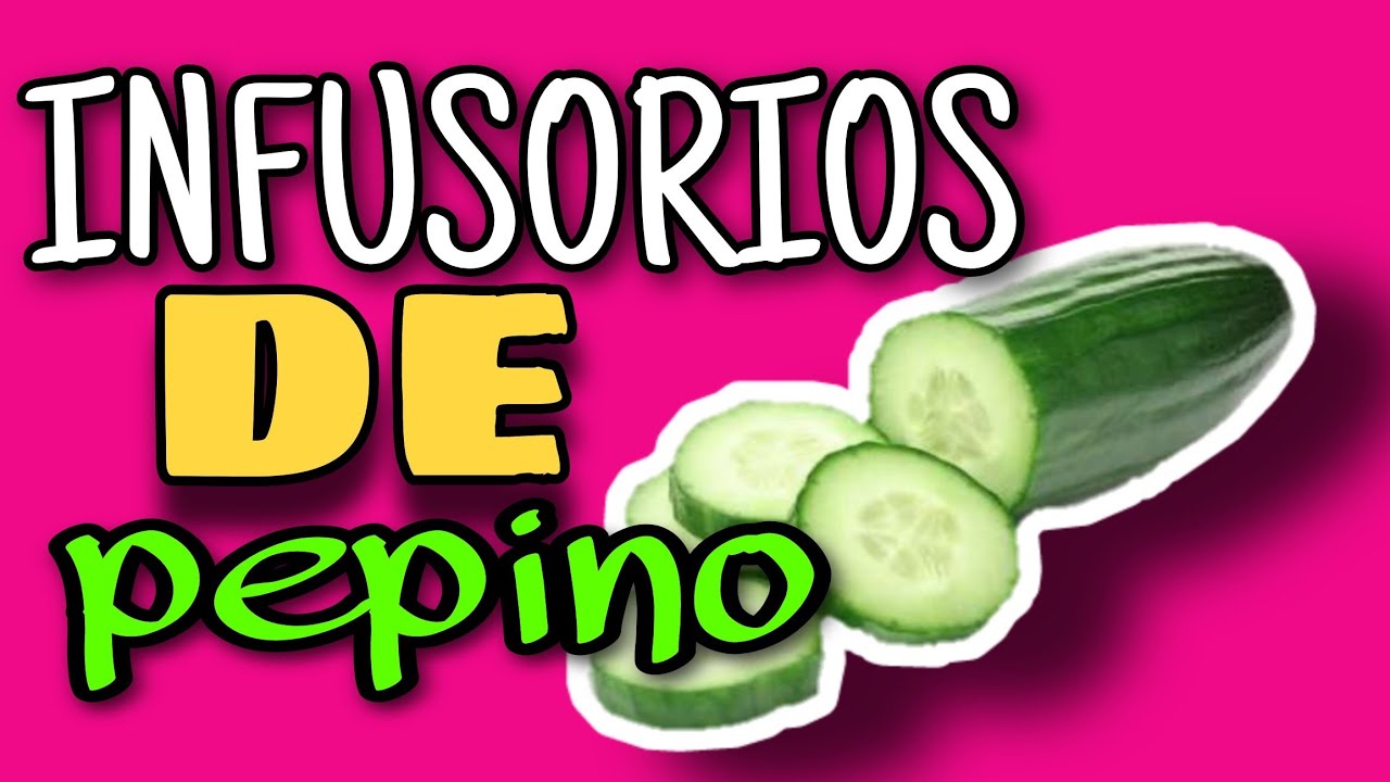Infusorios con Pepino