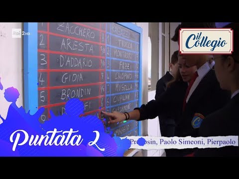 Video: Carenza Di L-carnitina Nei Gatti